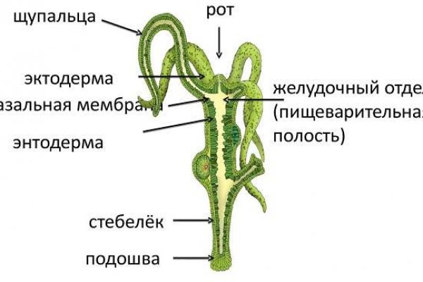 Ссылка омг тг канал зеркало